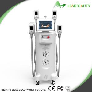 Quality -15-5℃ can be reached the most advanced cryolipolysis Machine wholesale