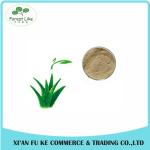 Aloe Gel Freeze-dried Extract powder 100:1