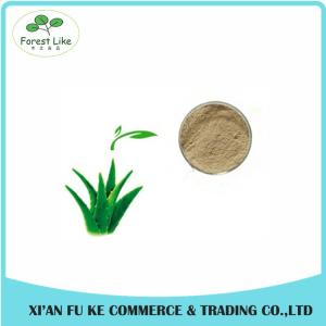 Quality Aloe Gel Freeze-dried Extract powder 100:1 wholesale