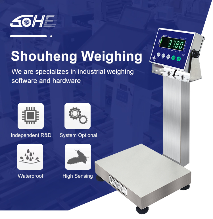 Support Customization OBM 6kg Digital Weighing Scale for Seafood and Food Counting