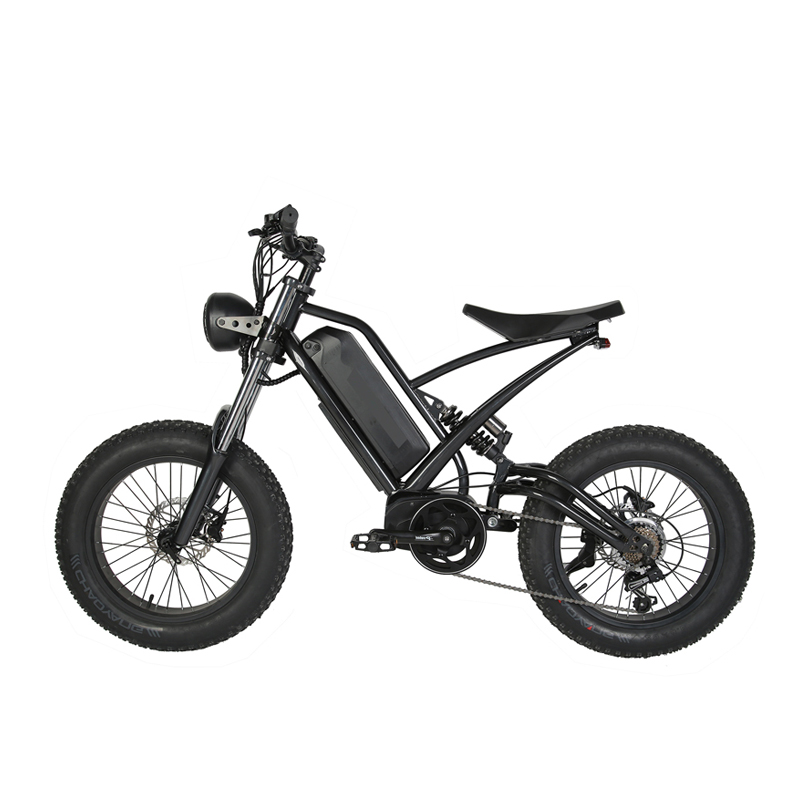 Disc Brake 2023 Style 20" Fat Tire Electric Enduro E-Bike for Off Road MTB Bicycle