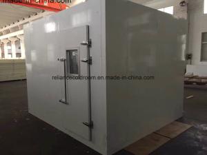 Quality Freon Refrigerant Walkin Cold Storage Room for Meat Assembled Structure Walkin Building wholesale