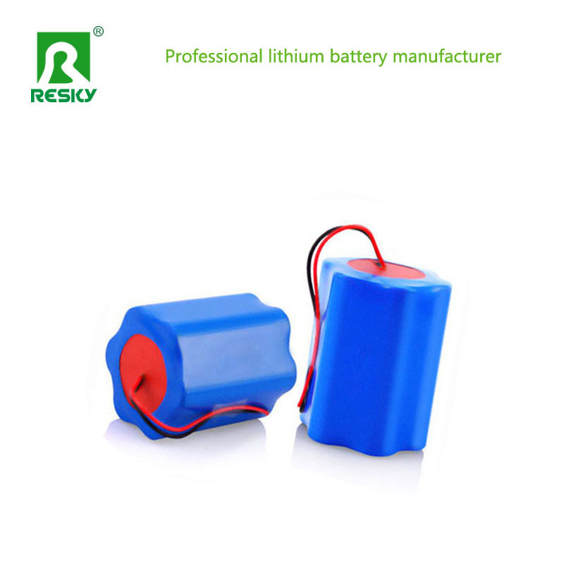 48V 13ah Electric Bike Li-ion Battery Lithium Ion Batteries For E-scooter