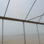 Multi Span Arch Plastic Film Greenhouse Tomato Strawberry Agricultural