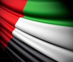 The United Arab Emirates Flag 90x150cm knitted polyester national flag outdoor