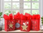 Fancy Holiday Merry Christmas Gift Shopping Luxury Paper Bags with Customized