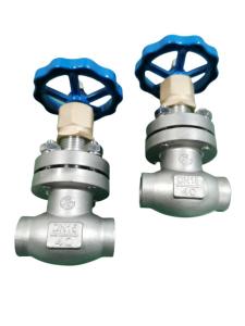 Quality DN25 SUS304 Cryogenic Socket Weld Globe Valve For Liquid Gas wholesale