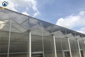Quality Double Wall PC Polycarbonate Greenhouse Farming Steel Frame Greenhouse wholesale