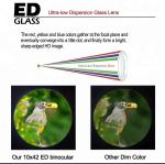 Waterproof 8x42 Binoculars ED Compact For Hunting