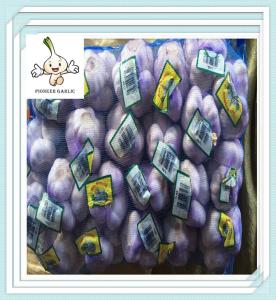 Quality Good Quality Chinese Fresh Pure White Garlic 5.0CM China single clove garlic wholesale
