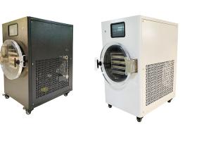 Quality 4Kg 6Kg Home Stay Fresh Freeze Dryer Electric Heating wholesale
