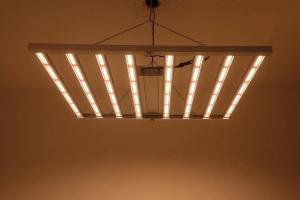 Quality Foldable 8T Greenhouse Grow Lights 800W 1000w Hps wholesale