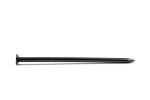Common Nail