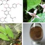 Horny goat weed extact / Epimedium PE Icariin 10%-98%