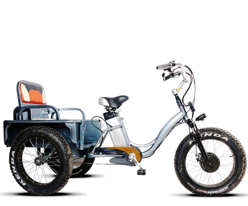 Adult 3 Wheel Electric Tricycle 48V 250W Motor Three Wheel Electric Cargo Bike