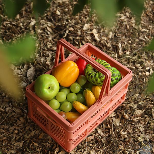 Cheap Handle Plastic Basket Organizer for sale