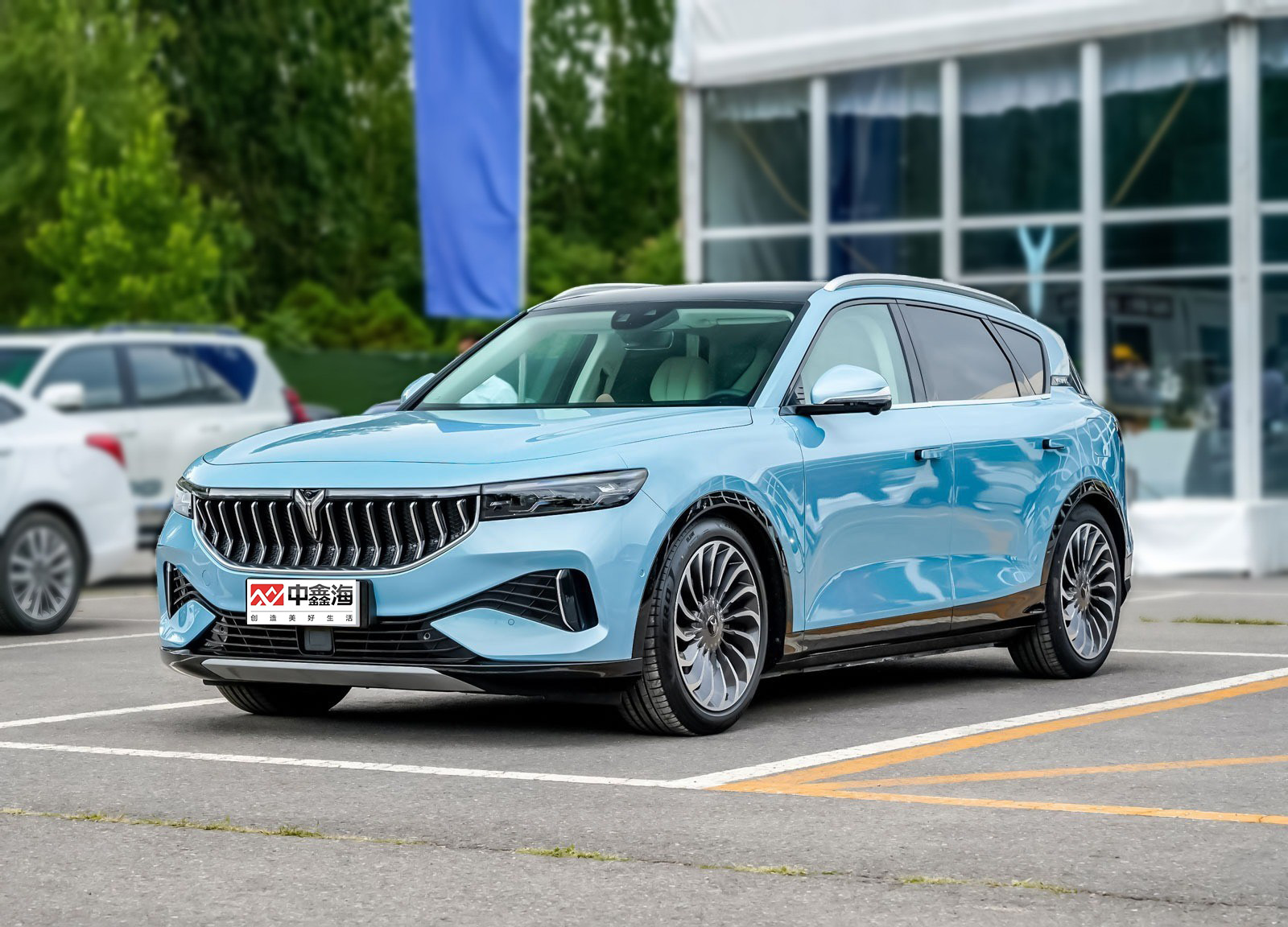 2021 Energy 5 seat Electric Adult VOYAH FREE 2021 two-wheel drive pure electric version cheap electric car made in china