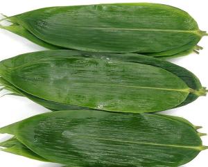 Quality Green Fresh Sushi Rolling Bamboo Leaf 5-11 cm for Rice Dumplings wholesale