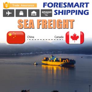 Quality Ningbo China To Toronto Canada North America Freight wholesale