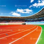 Iaaf Approved Standard Athletic Rubber Running Track & Courts Synthetic Runways