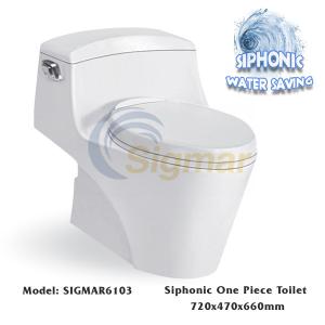Quality SIGMAR6103 Dual Flush Porcelain Toilet Bathroom Ceramic Siphonic Toilet wholesale