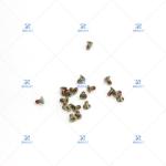 FUJI NXT W08C FEEDER SCREW PZ13391 FUJI Feeder Part