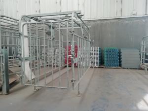 Quality Corrosion Resistance Customized Pig Farm Gestation Crate wholesale