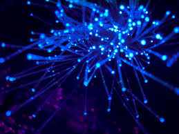 500um 100um 25um Sapphire Fiber Optic Cable Fiber Communication Line