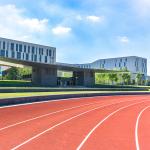 Recycled 13mm Rust Resistant Synthetic Sports Surfaces Non-poisonous