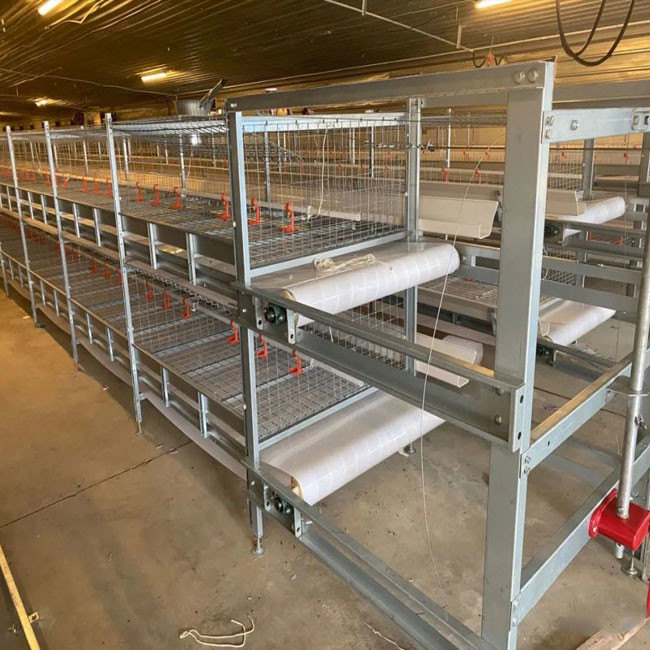 Baby Broiler Chicken Cage Farming Coop Animal Husbandry Equipment 2
