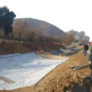 Quality Anti-Leakage Waterproof Geosynthetic Clay Liner Made in for Municipal Water Conservancy wholesale