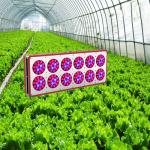 Single 3w chip led grow light,150W,300W