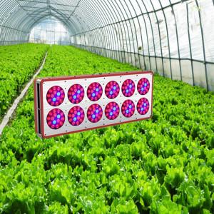 Quality Factory supply 2018 wholesale grow equipment 2ft 4ft 5ft t8 g13 full spectrum led grow lig wholesale