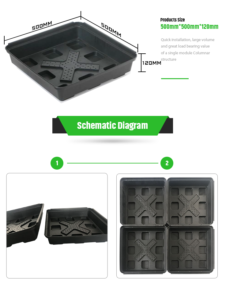 Modern Green Roof Trays The Ultimate Solution for Planting Flowers and Vegetables