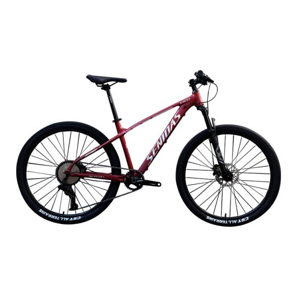 29 Inch Mountain Bike Marlin Made with Copy Carbon Welding and Aluminum Rim