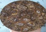 Dark Color Petrified Wood Slab , Natural Stone Slabs For Round Tabletop
