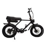Removable Battery Full Suspension 1000W Electric Fat Bike with Lithium Power