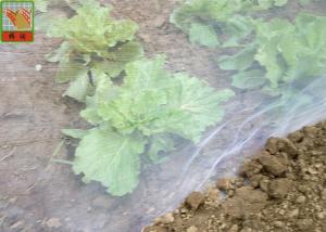 Quality HDPE Material Agricultural Insect Netting 16 Mesh White Color Light Weight wholesale