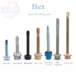 ROHS ISOISO9001 2015 Certified Carbon Stainless Steel Sheet Metal Tek Screw for