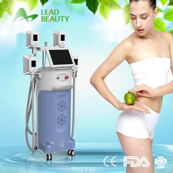 Cheap Professional Multi-function Weight Loss  Cryolipolysis super slimming sculptor for sale