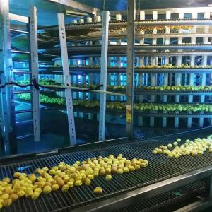 Quality High Performance IQF Bakery Spiral Cooling Tower wholesale