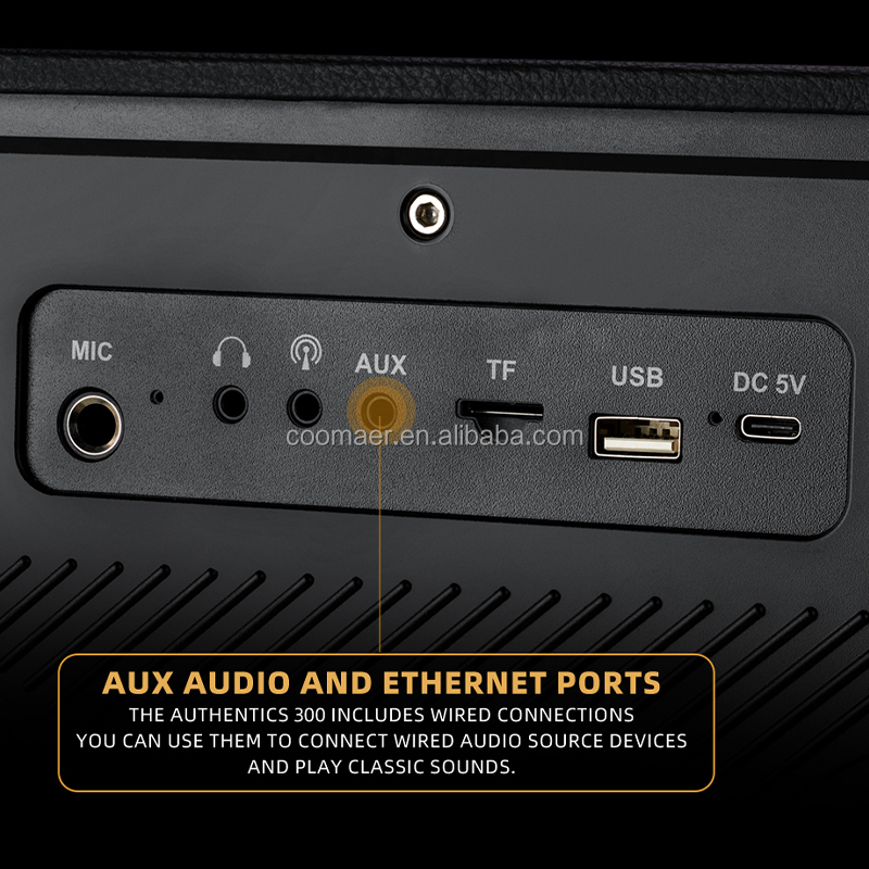 Frequency Response 45Hz-20KHz Portable Wireless Karaoke Speaker for Outdoor Parties