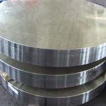 Hot Forging Ss304 Ss316 Blanked Hardened Steel Gear Wheel Used In Gearbox