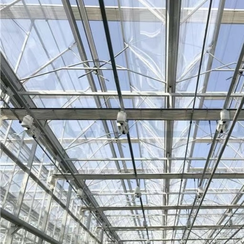 Float Single Layer Hollow Glass Greenhouse Hydroponics Growing