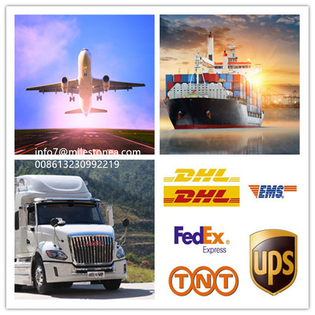 165571618R Truck Engine Fuel Filter High Performance