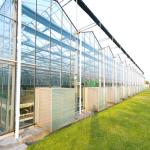 Waterproof Tempered Glass Greenhouse Heat Preservation Energy Saving Laminated