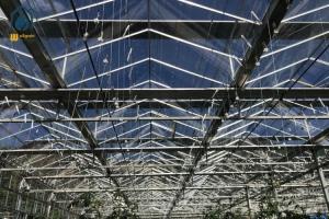 Quality Agriculture Vegetable Flower Glass Greenhouse Farm Commercial Greenhouse Structures wholesale