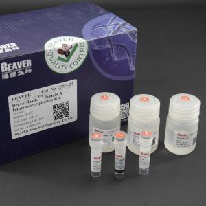 Quality 10 mg / mL Protein A Immunoprecipitation Kit 20 Reactions wholesale