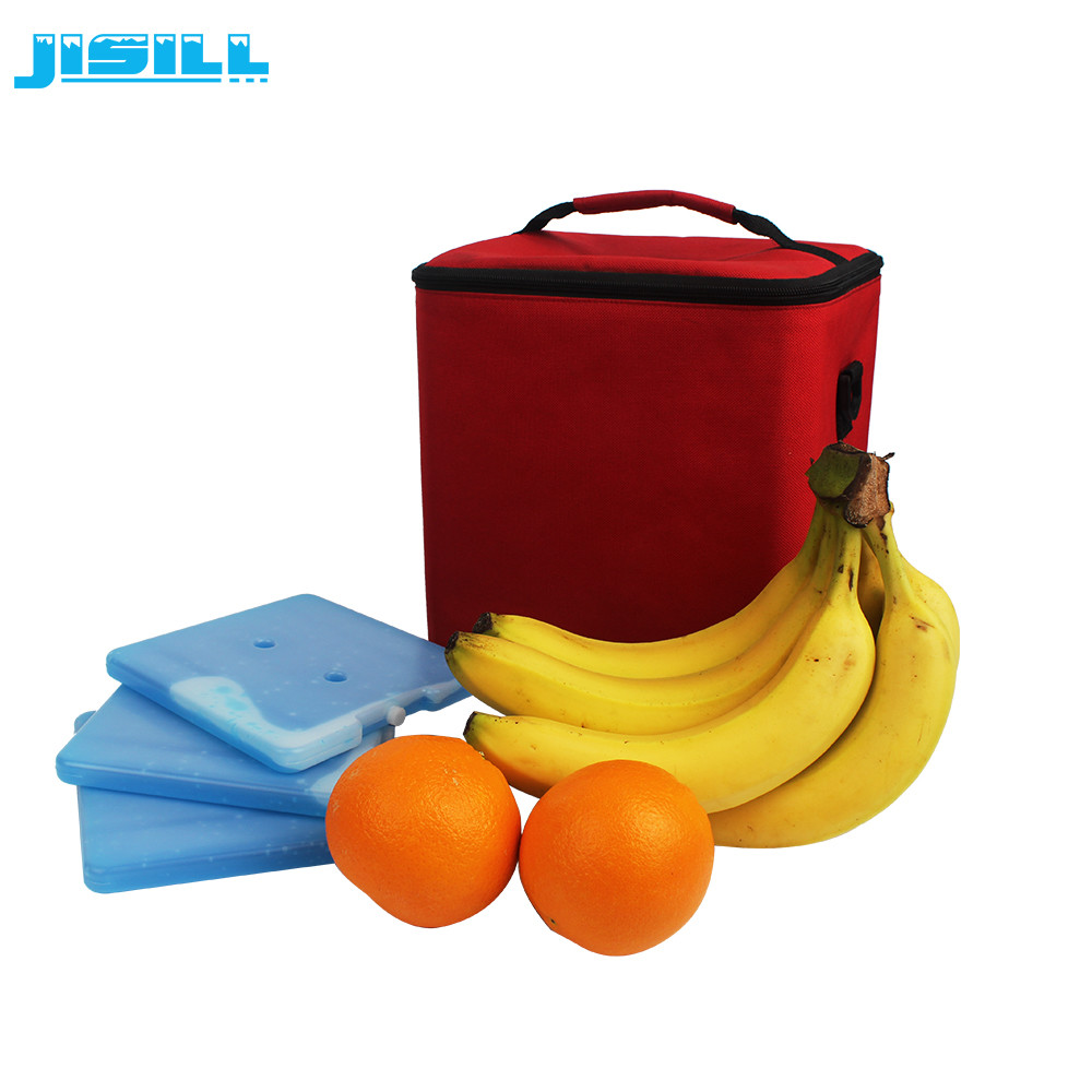 Custom Hard Plastic Material Reusable Plastic Ice Packs Cooler For Lunch Bags