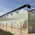 Customizable Top Ventilation Side Ventilation Greenhouse Polycarbonate for
